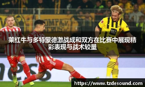莱红牛与多特蒙德激战成和双方在比赛中展现精彩表现与战术较量